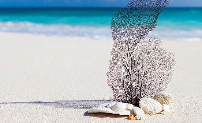 Island Getaways – Part 2